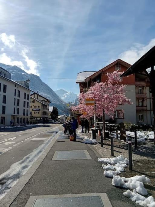New.. Matten Central Family Suite, Sleeps 4 Matten bei Interlaken Exterior foto